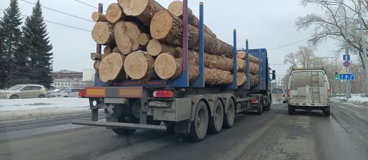 Поиск транспорта для перевозки леса, бревен и кругляка стоимость услуг и где заказать - Тюмень